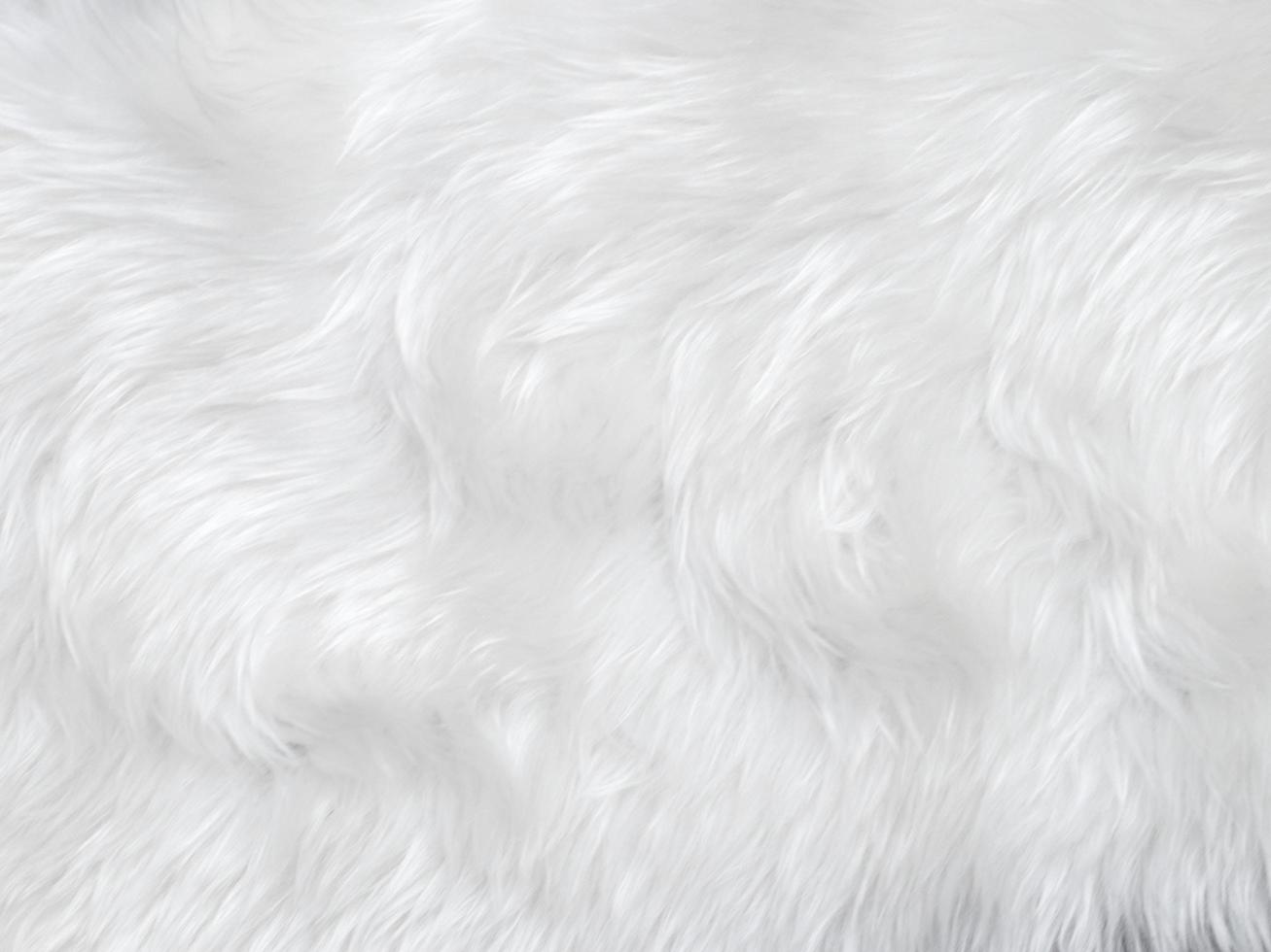 White clean wool texture background. light natural sheep wool. white seamless cotton. texture of fluffy fur for designers. close-up fragment white wool carpet. photo