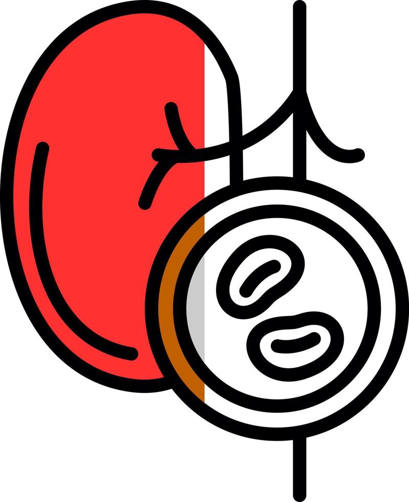 Kidney Checkup Vector Icon Design
