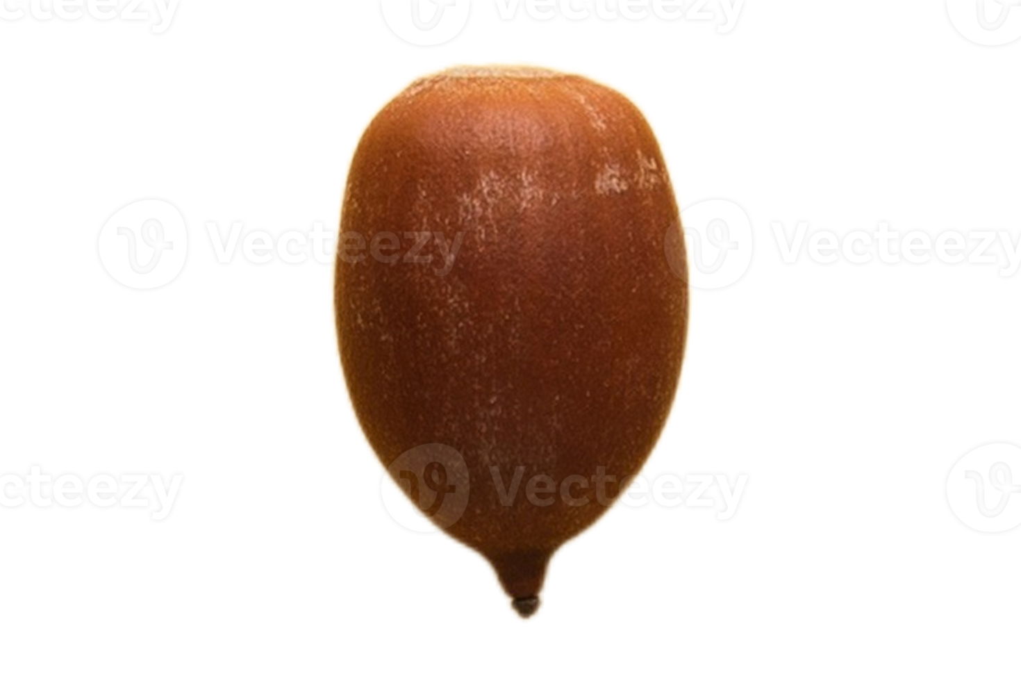Seed isolated on a transparent background png