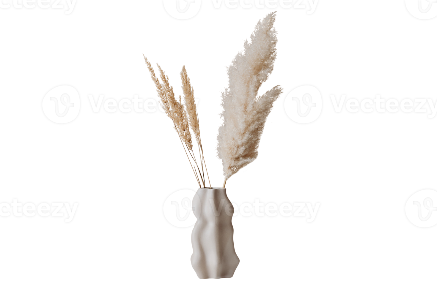 Beige vase with pampas grass isolated on a transparent background png