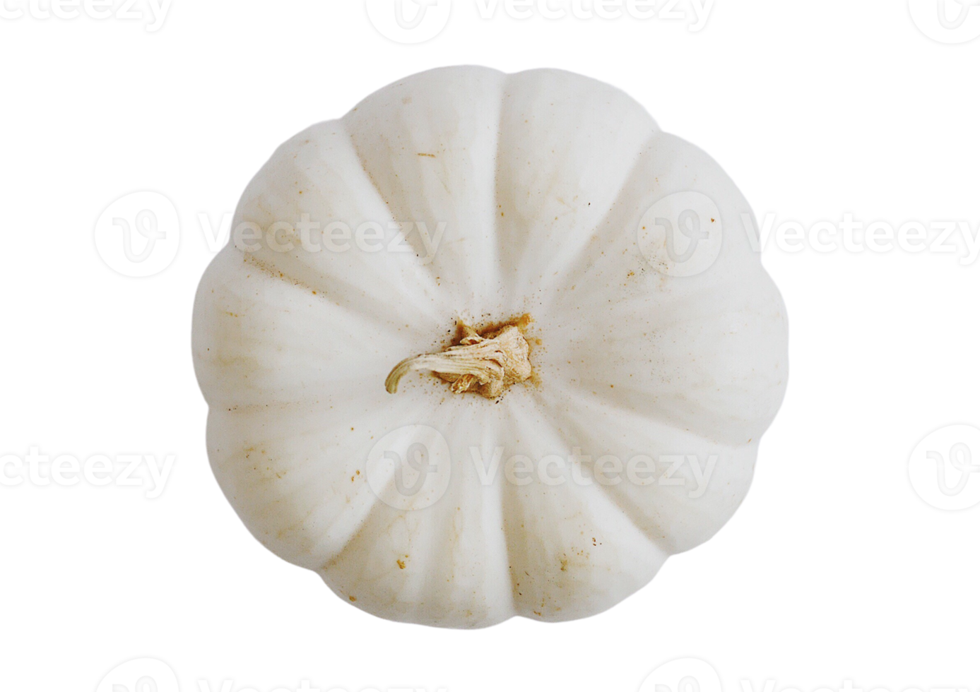 White pumpkin isolated on a transparent background png