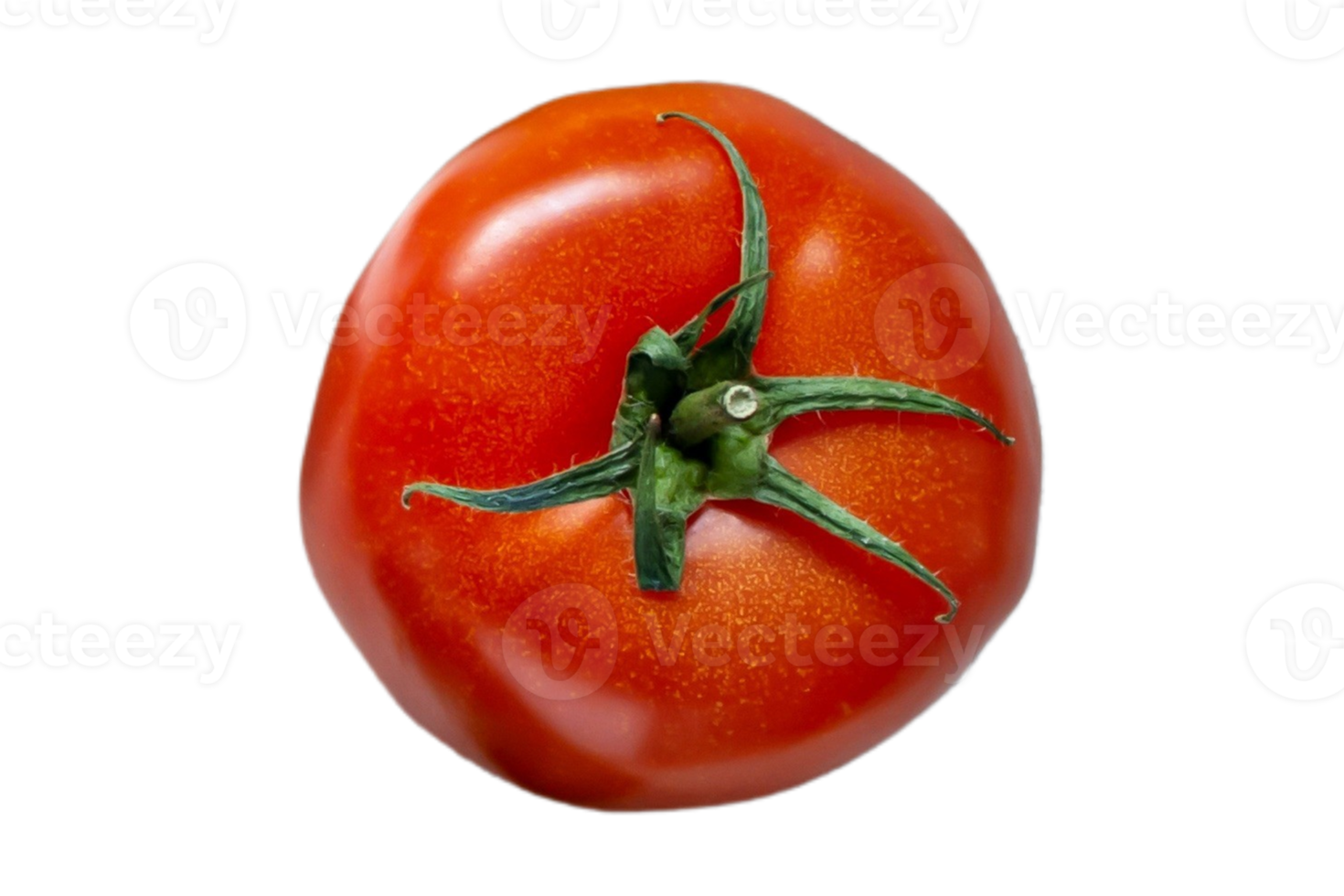 tomate vegetal aislado en un transparente antecedentes png