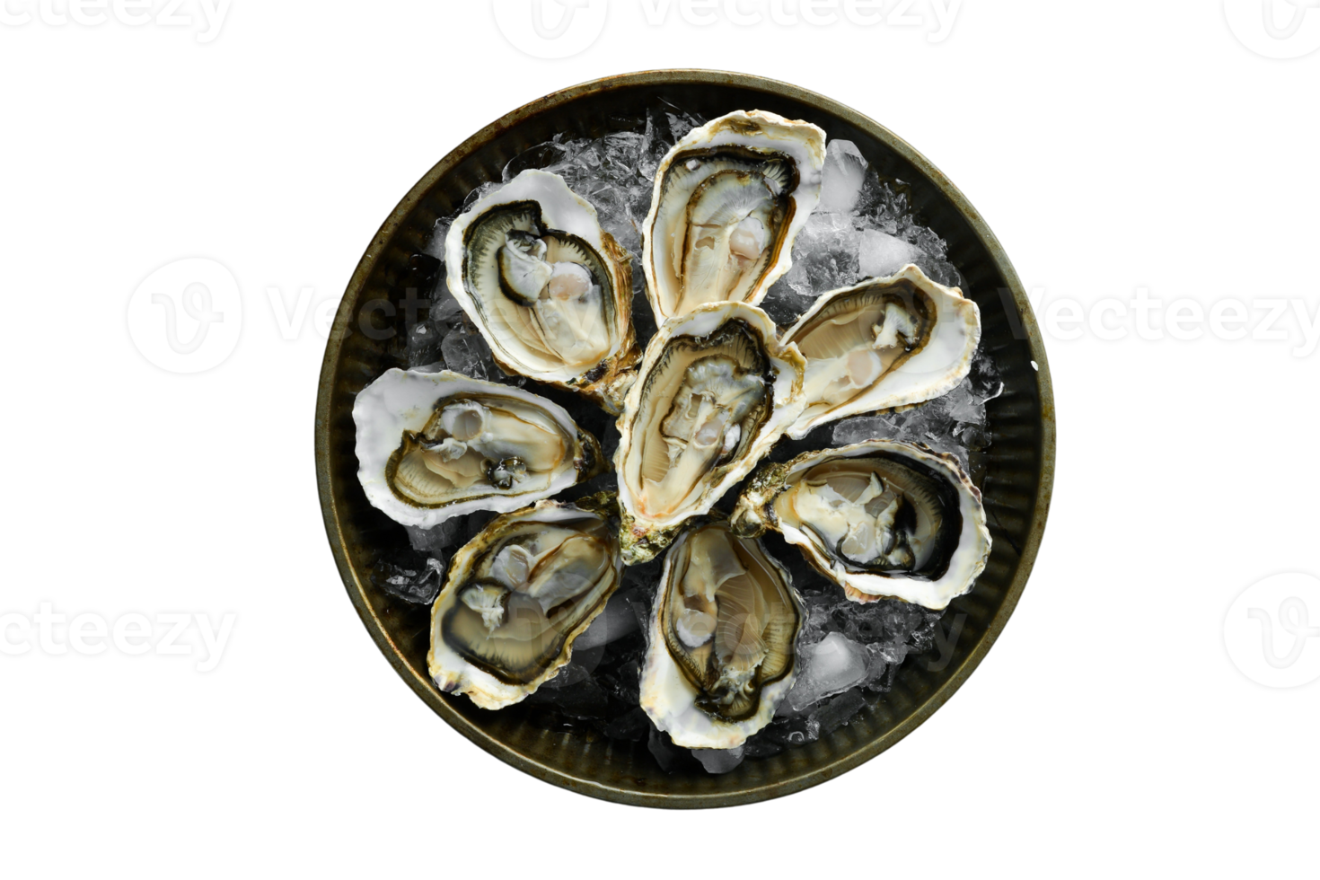 Black plate with oysters isolated on a transparent background png