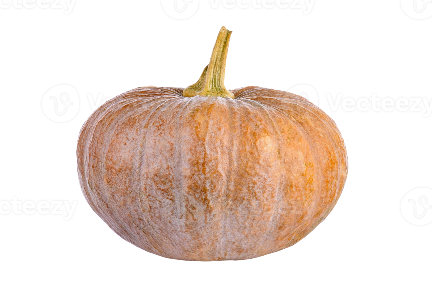 Pumpkin vegetable isolated on a transparent background png