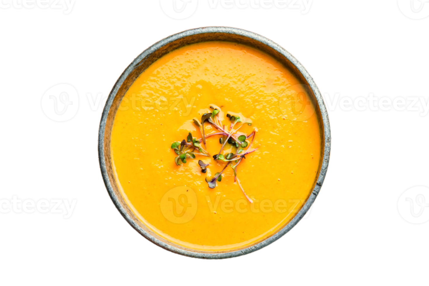 Schüssel mit Kürbis Suppe isoliert auf ein transparent Hintergrund png