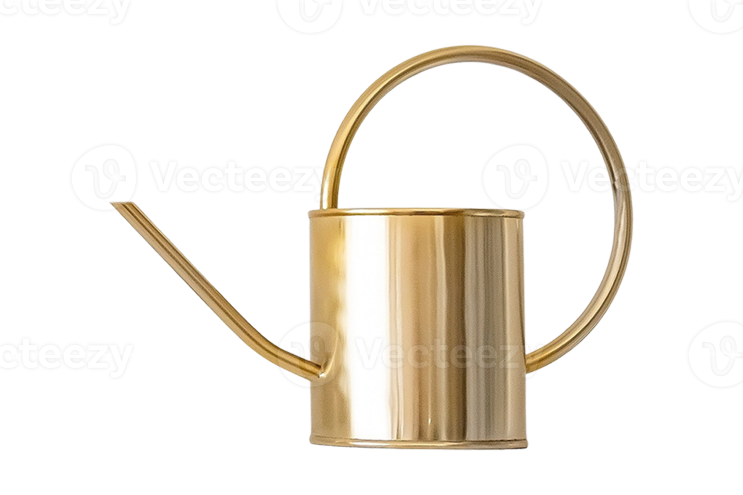 Golden watering Can isolated on a transparent background png
