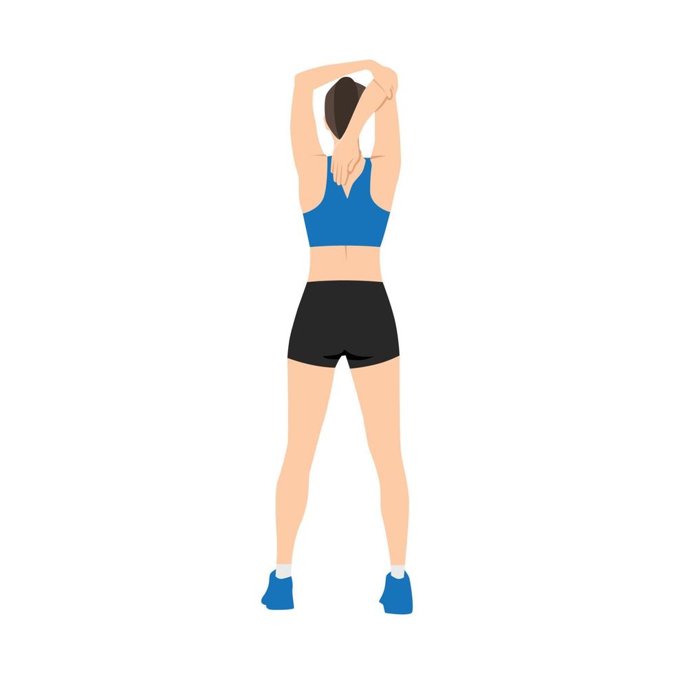 mujer haciendo gastos generales triceps tramo ejercicio. vector