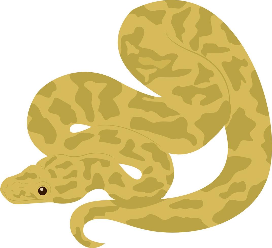 venenoso peligroso reptil. víbora serpiente. tatuaje. diseño elemento. serpiente piel. vector