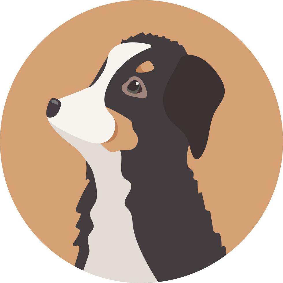 vector bernés montaña perro avatar. linda dibujos animados mascota. Doméstico animal