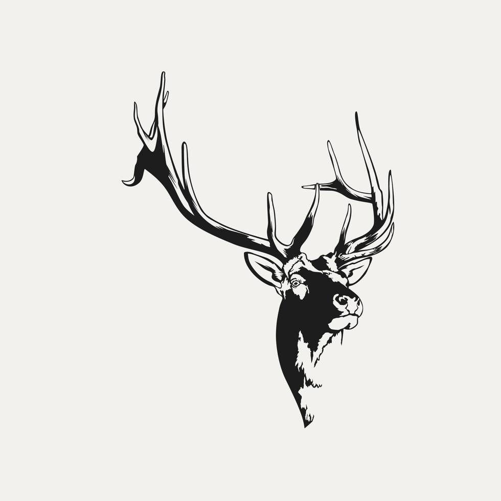 Head Deer vector Illustration