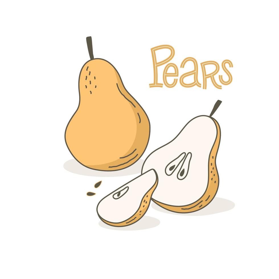 Vector illustration of two pears with lettering