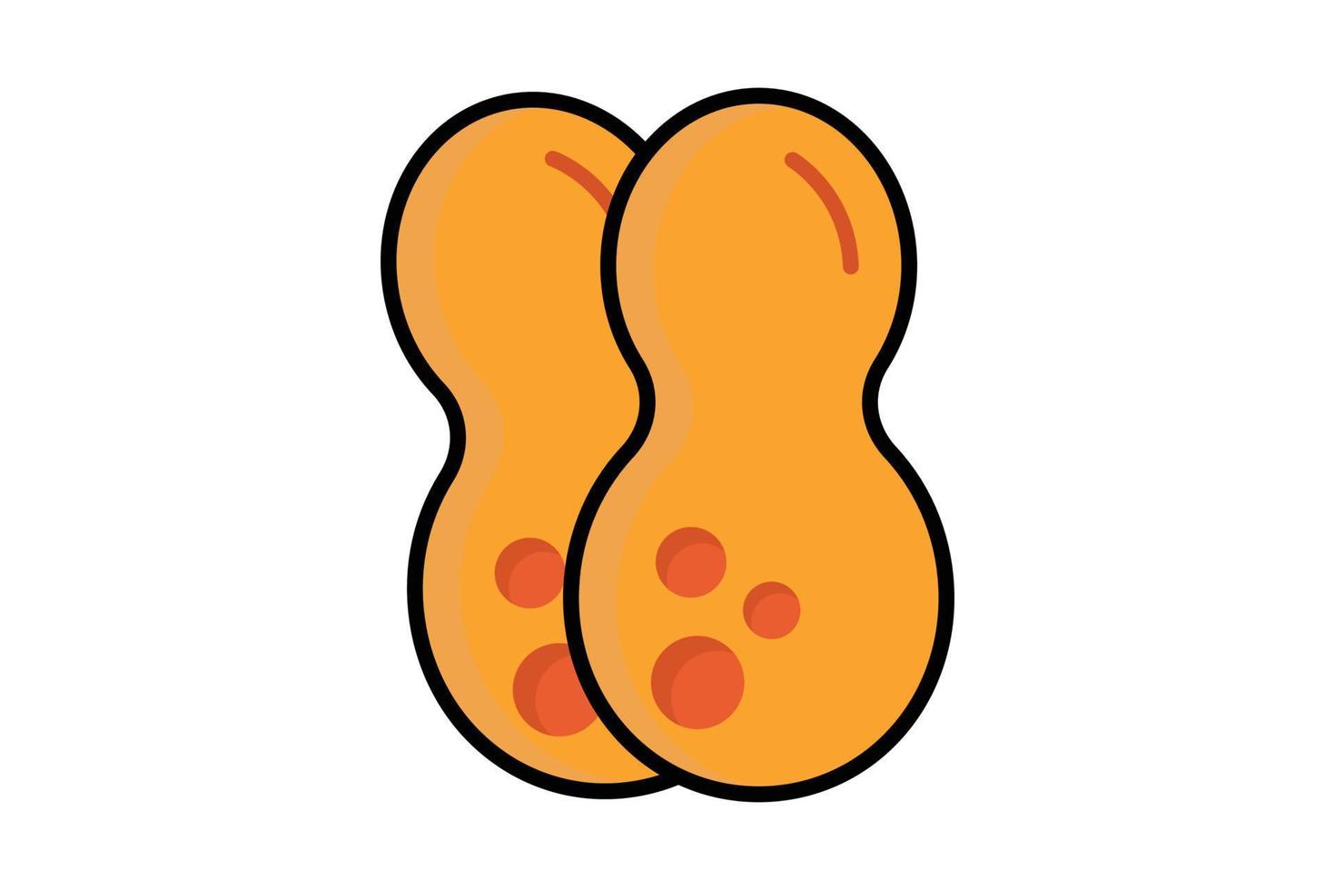 Peanut icon illustration. icon related to nuts. Two tone icon style, lineal color. Simple vector design editable