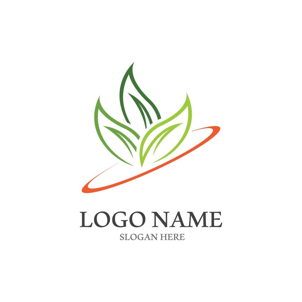 Tree leaf vector logo design, eco friendly concept