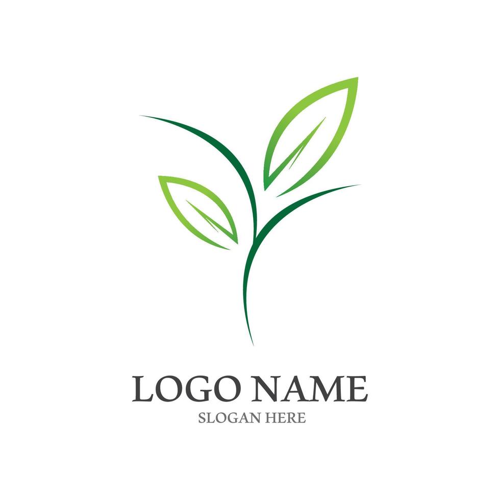 Tree leaf vector logo design, eco friendly concept