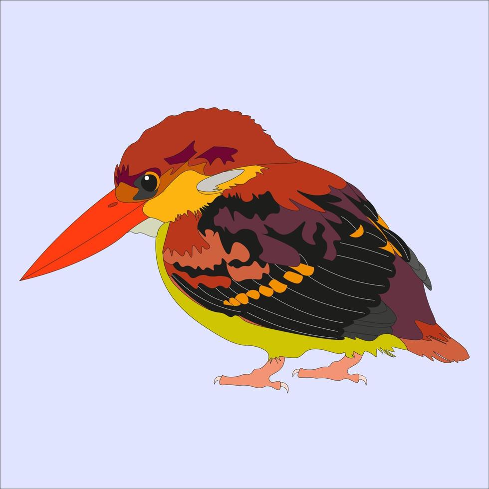 ilustración de el pájaro de fuego además conocido como el espalda negra martín pescador es un bolsillo tamaño pájaro en el familia alcedínidos. esta pájaro principalmente vive en el indio subcontinente y Sureste Asia vector