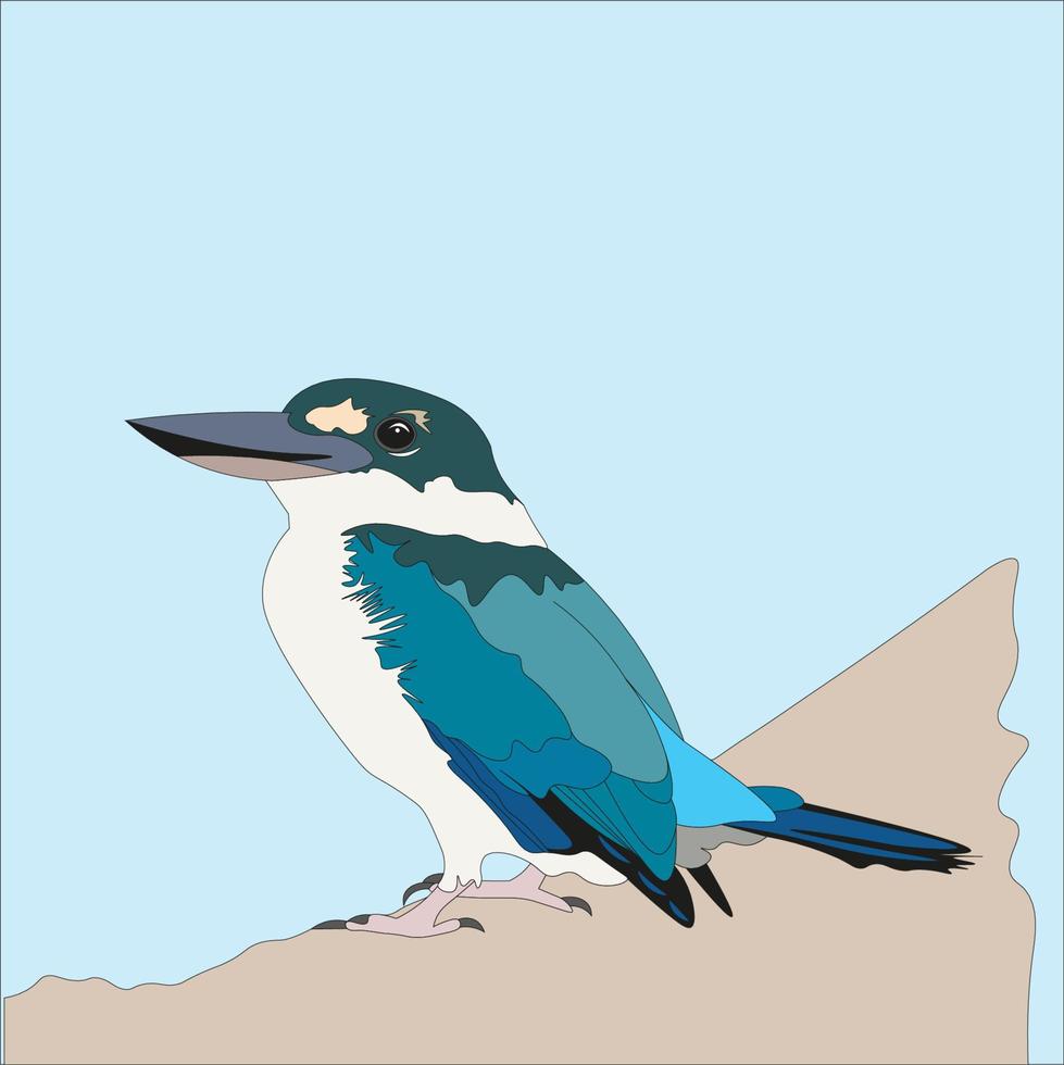 illustration of the river kingfisher which is a species of bird from the family Alcedinidae, eating lizards, large insects etc vector