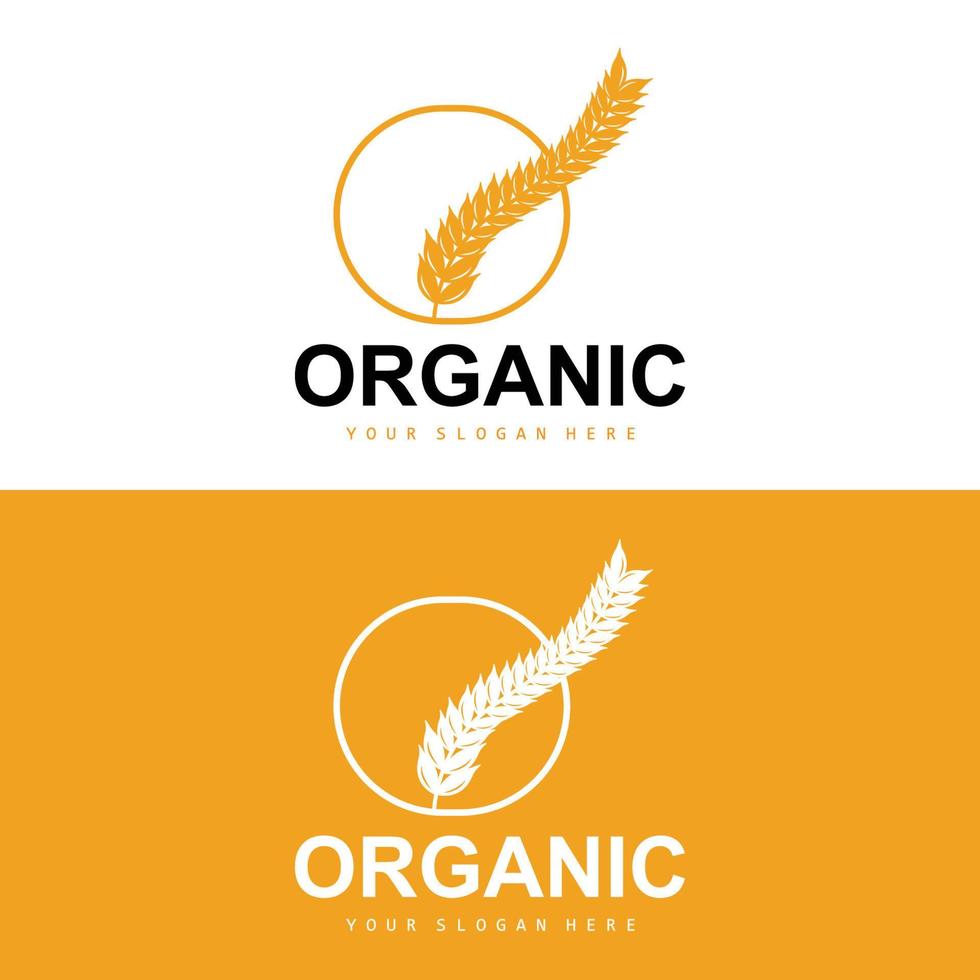 Wheat Rice Logo, Agricultural Organic Plants Vector, Luxury Design Golden Bakery Ingredients vector