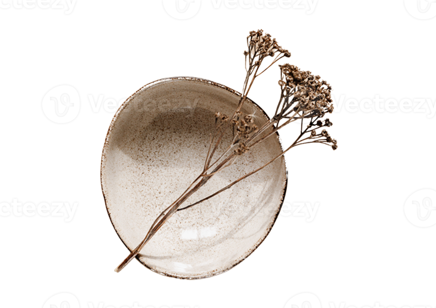 Beige bowl with a dried flower isolated on a transparent background png