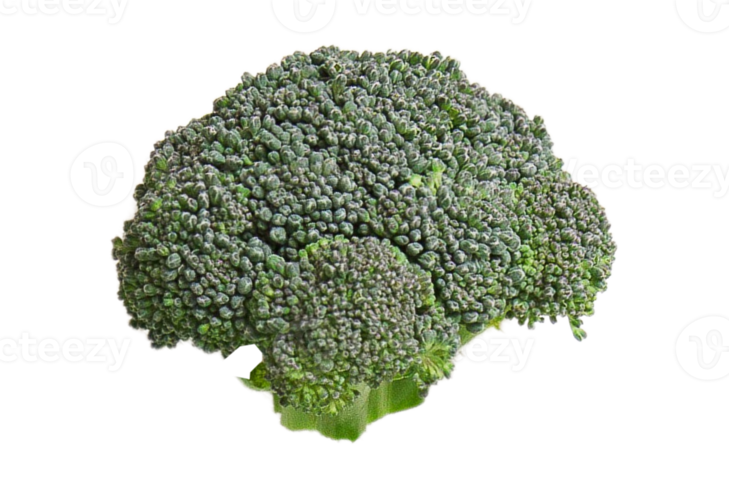 Vegetables broccoli isolated on a transparent background png