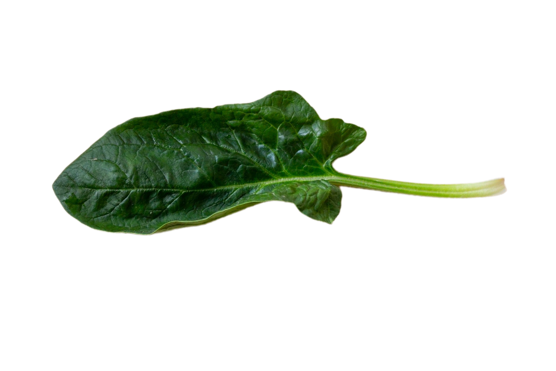 Free frisch Spinat Blatt isoliert auf ein transparent Hintergrund