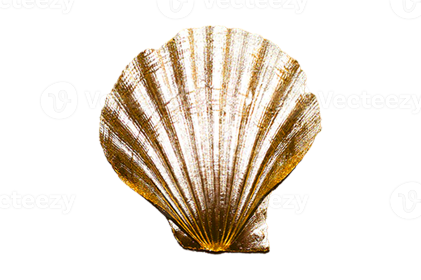 Golden seashell decoration isolated on a transparent background png