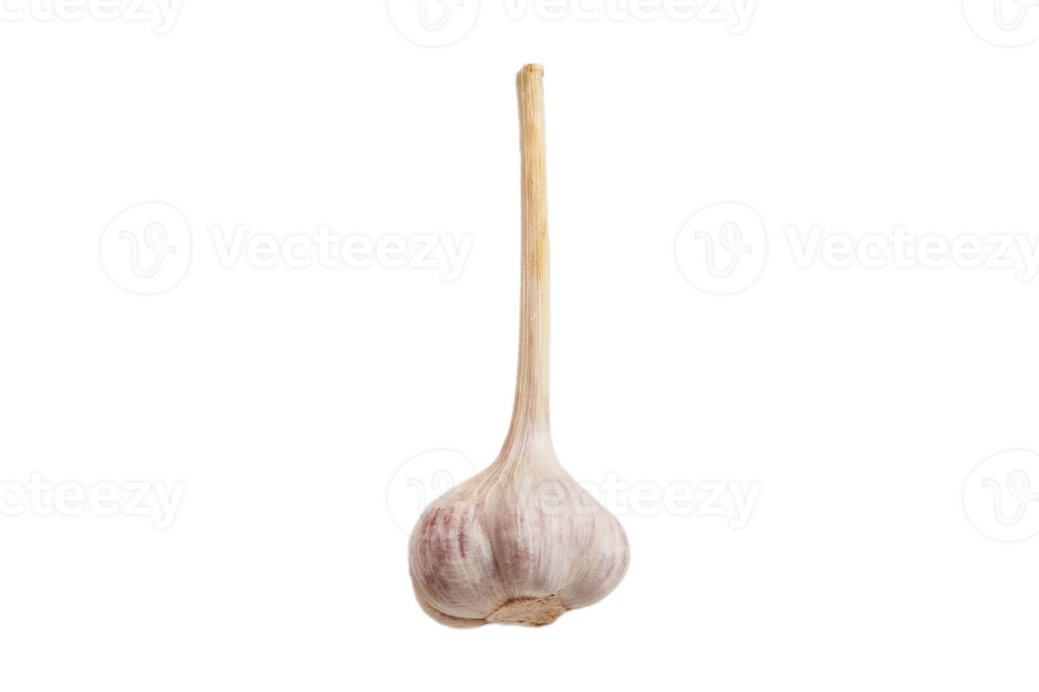 Knoblauch isoliert auf ein transparent Hintergrund png