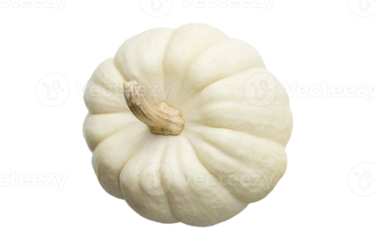 Beige pumpkin isolated on a transparent background png