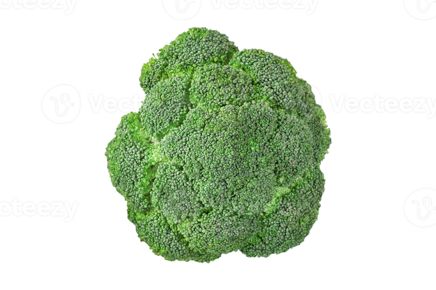 Vegetables broccoli isolated on a transparent background png