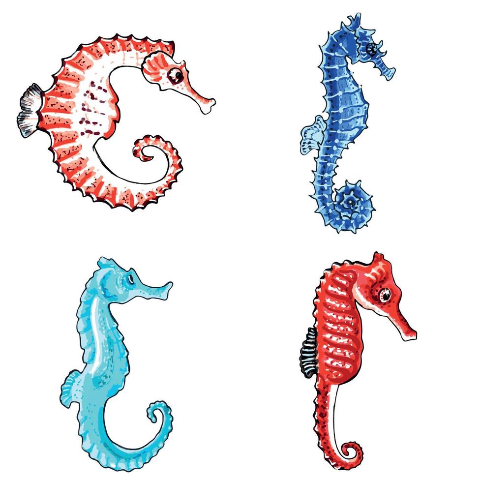 Set of brown, blue, red and aqua color seahorses   isolated on transparent background. Vector  EPS illustration marine animals.