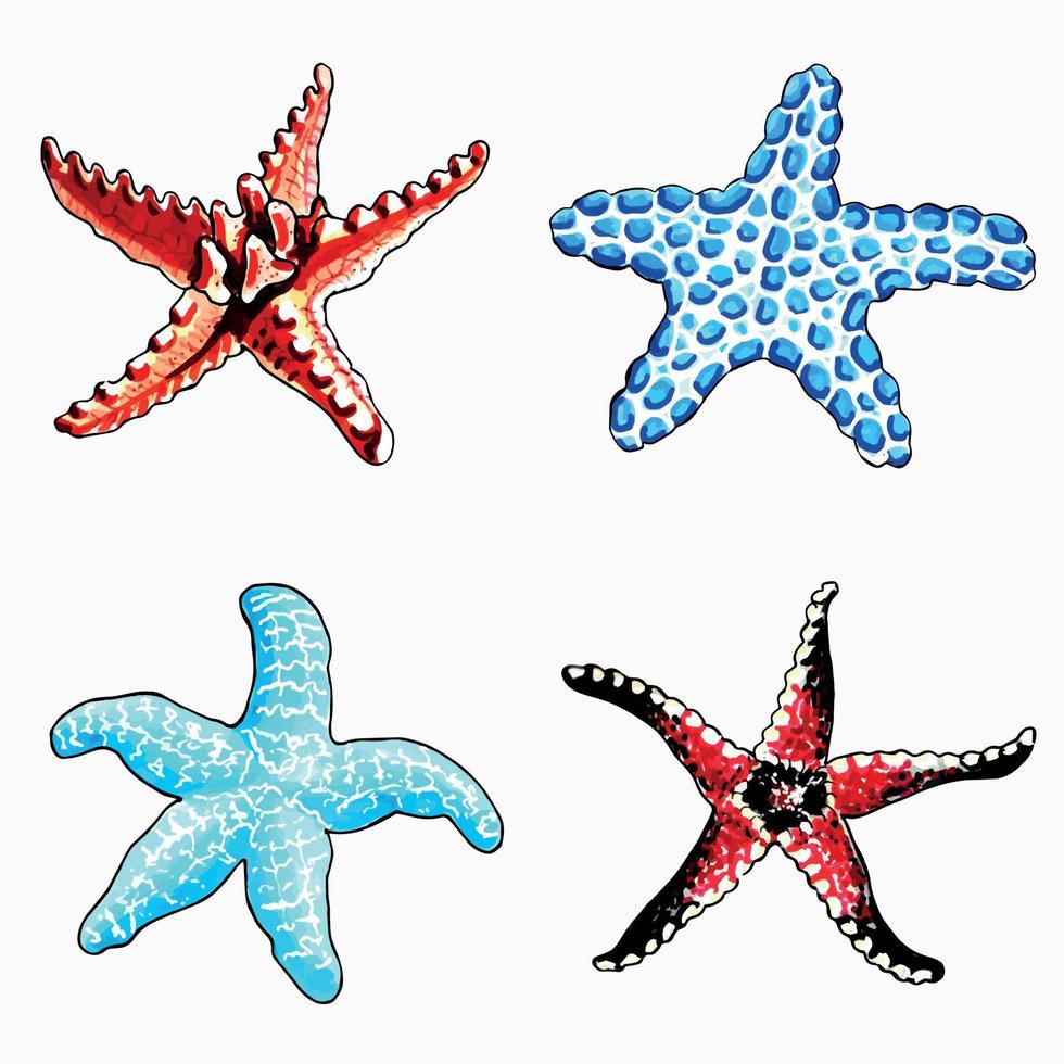 Set of brown, blue, red and aqua color starfishes. Vector  EPS illustration marine life.