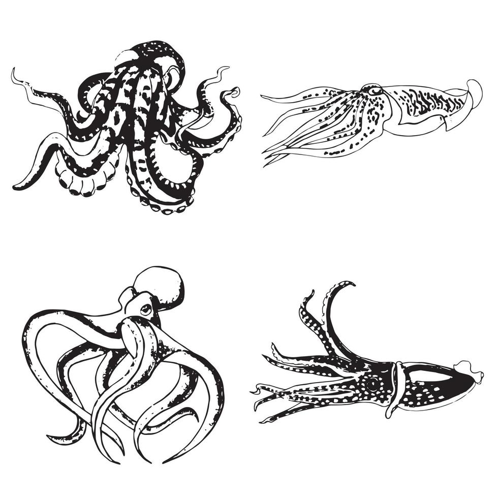 Set of monochrome octopus and squid.  Vector  EPS illustration marine animals.