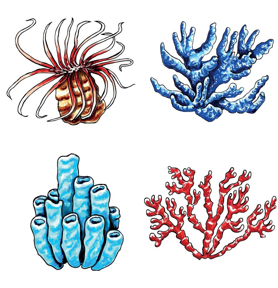 Set of brown, blue, red and aqua color corals. Vector  EPS illustration marine life.