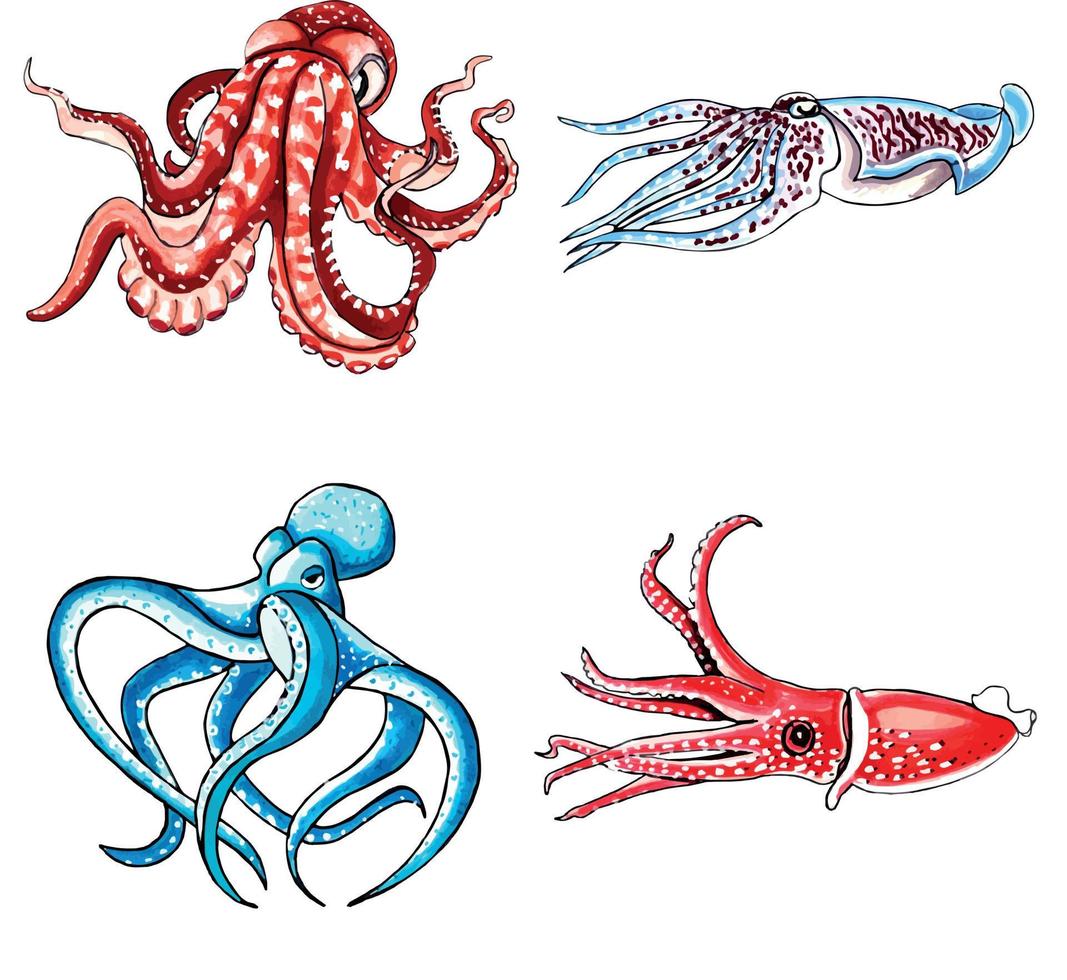 conjunto de marrón, agua color pulpo y azul, rojo calamar.vector eps ilustración marina animales vector