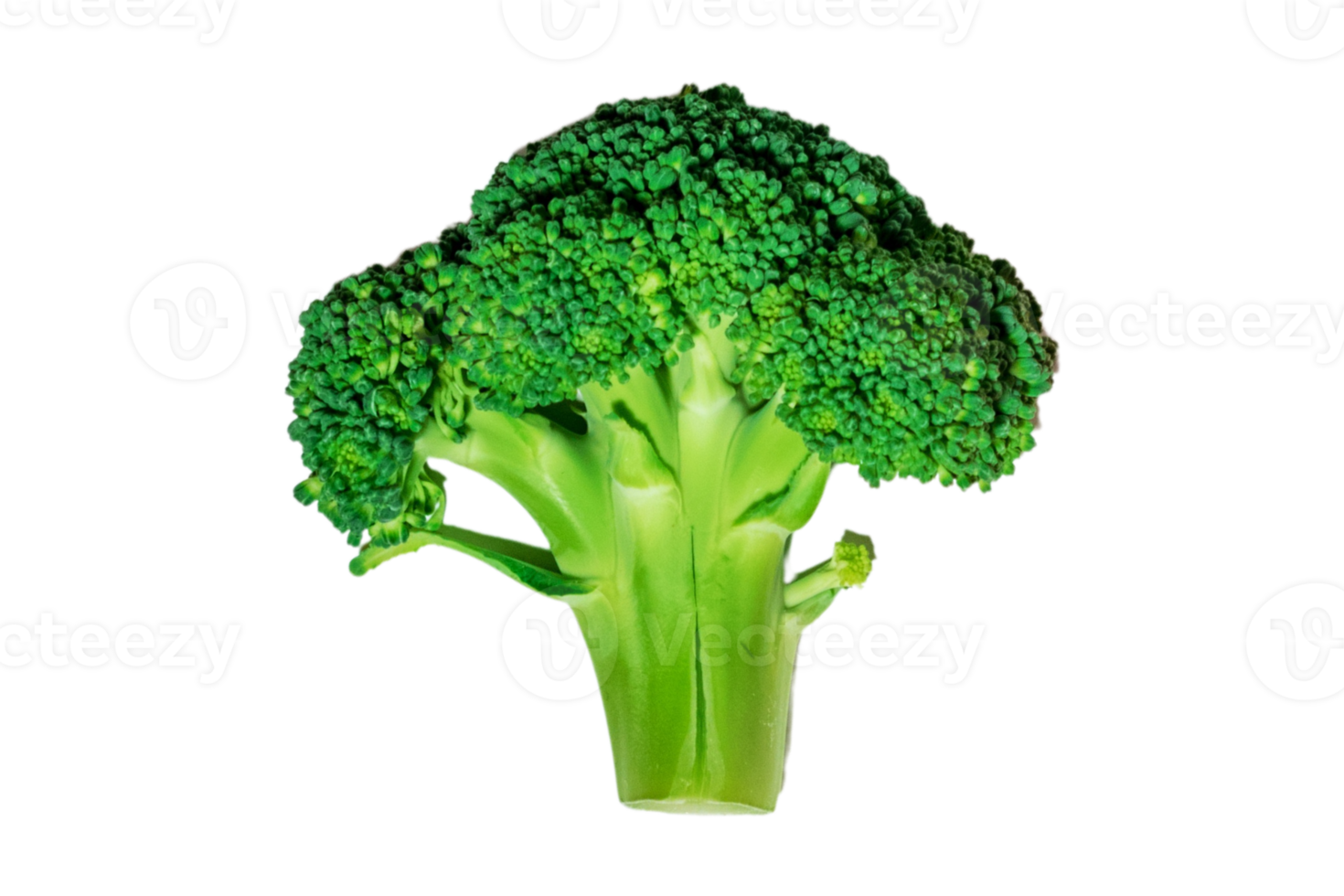 Fresh broccoli isolated on a transparent background png