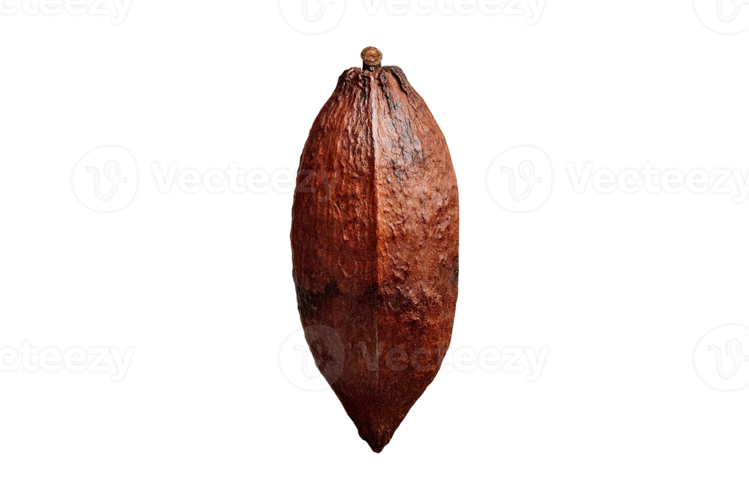 Cocoa fruit isolated on a transparent background png