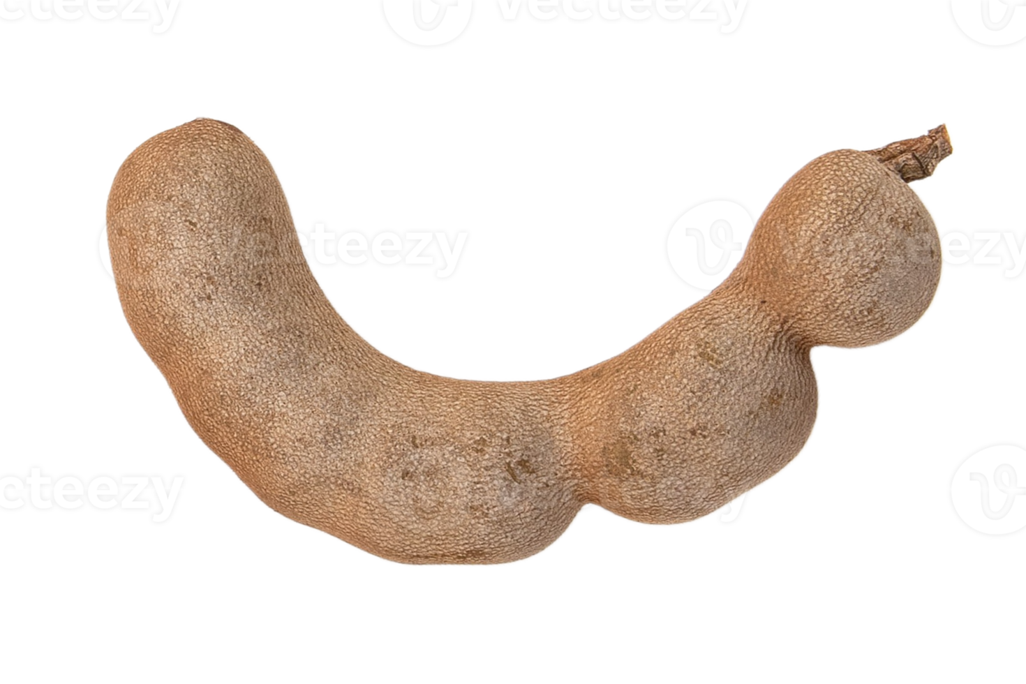 tamarind isolerat på en transparent bakgrund png