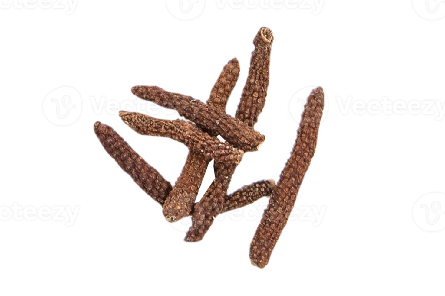 Long pepper isolated on a transparent background png