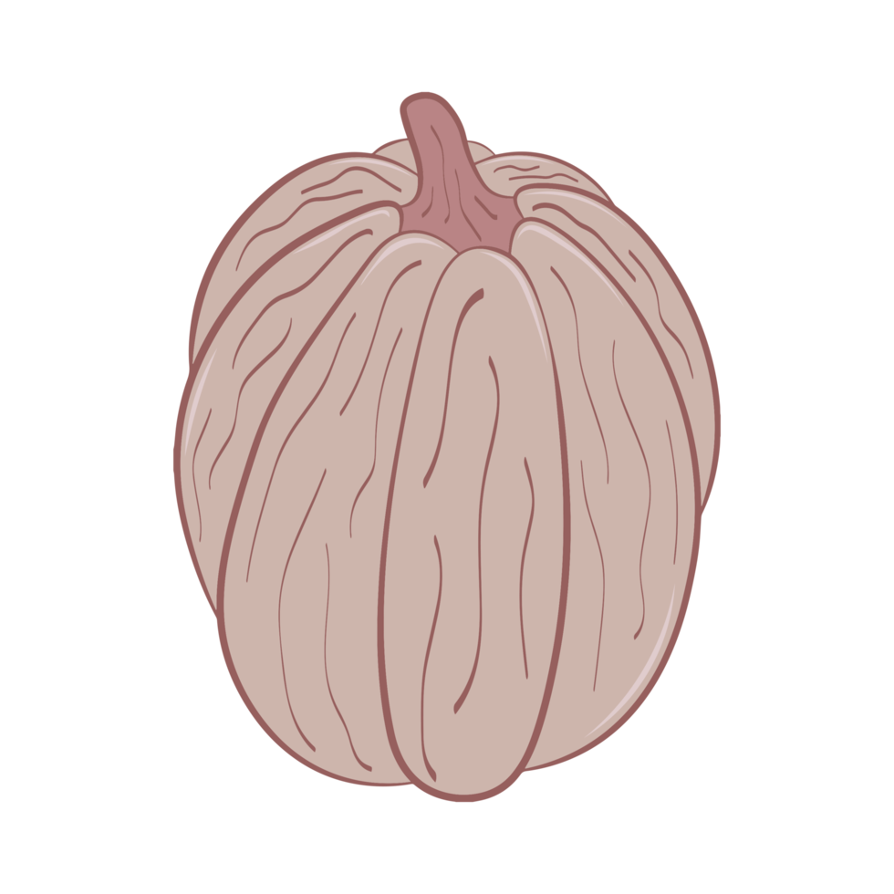 retrò zucca, vintage colore png