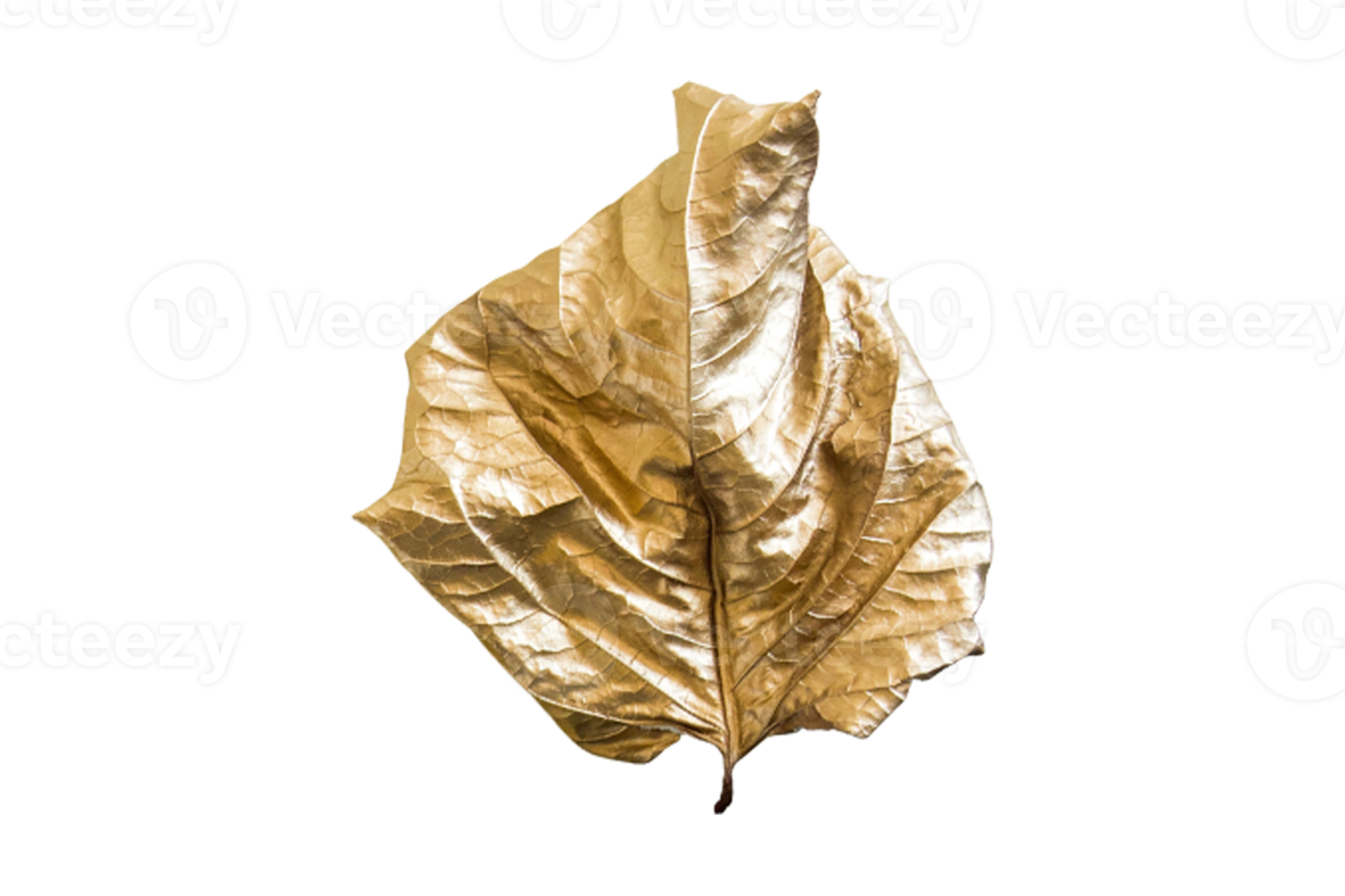 Golden leaf isolated on a transparent background png