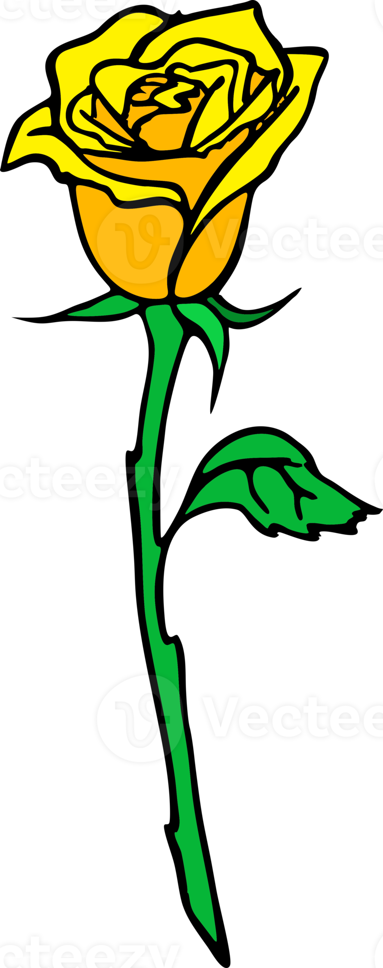 Free yellow rose drawing with black outline no background, isolated