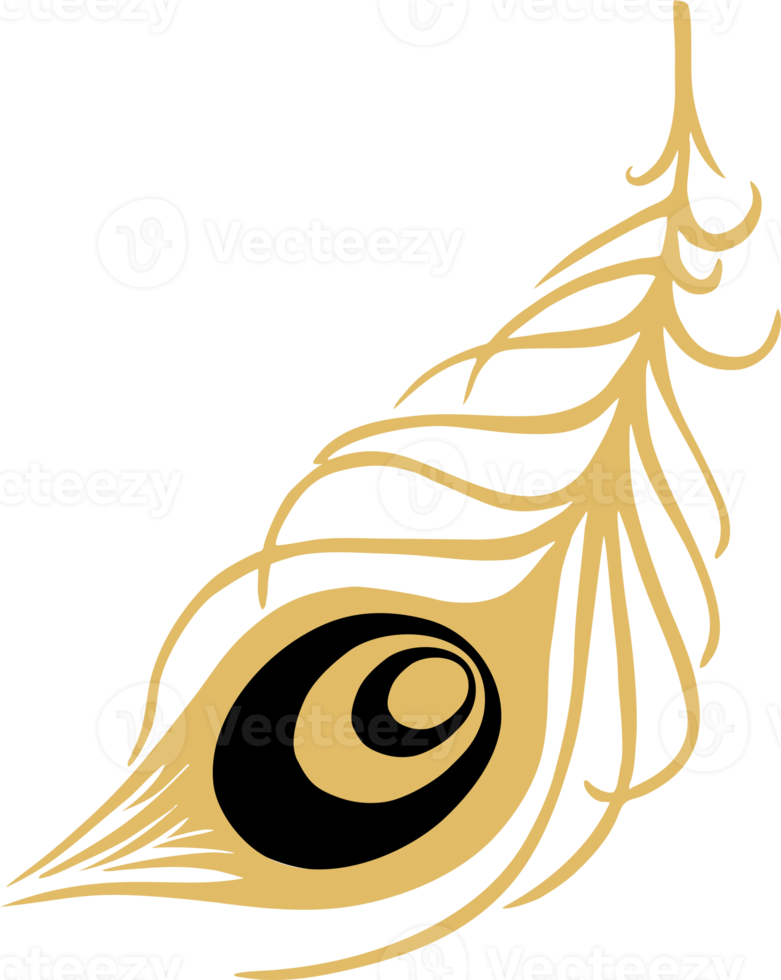 primitiv mönster påfågel fjäder svart med guld Nej bakgrund, isolerat element png