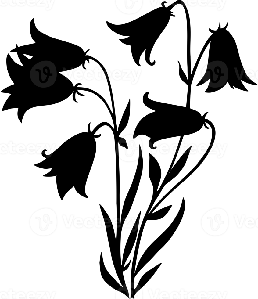 negro gráfico silueta de un rama de campanillas sin fondo, aislado elemento, logo png