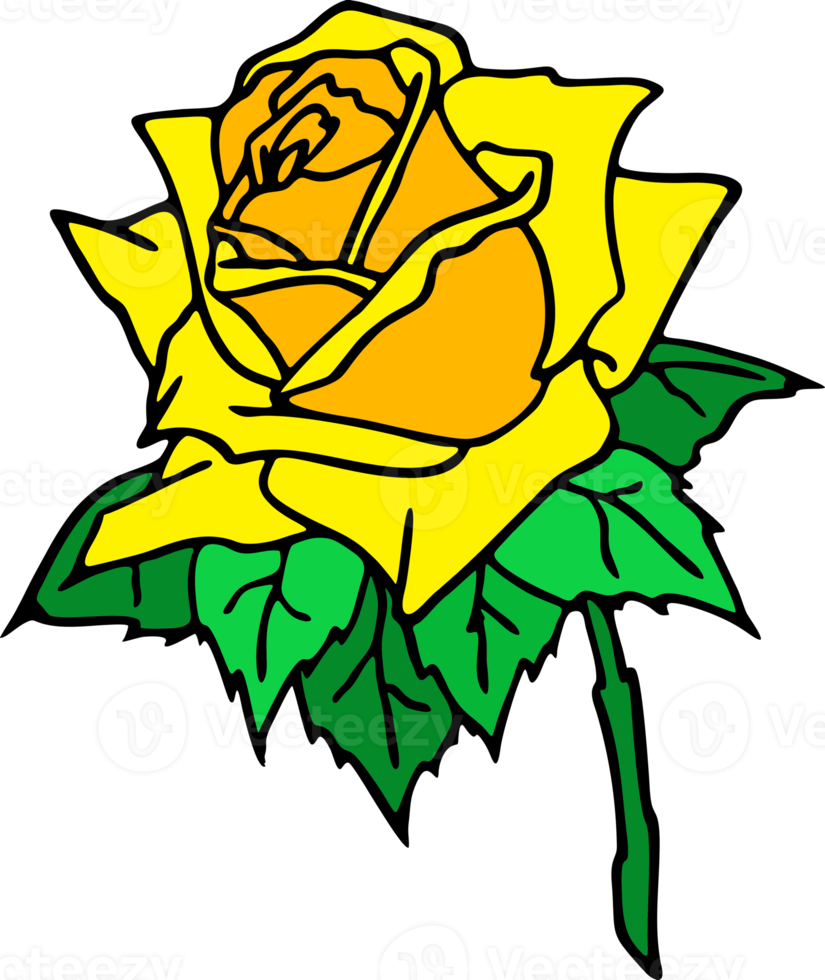 yellow rose drawing with black outline no background, isolated element