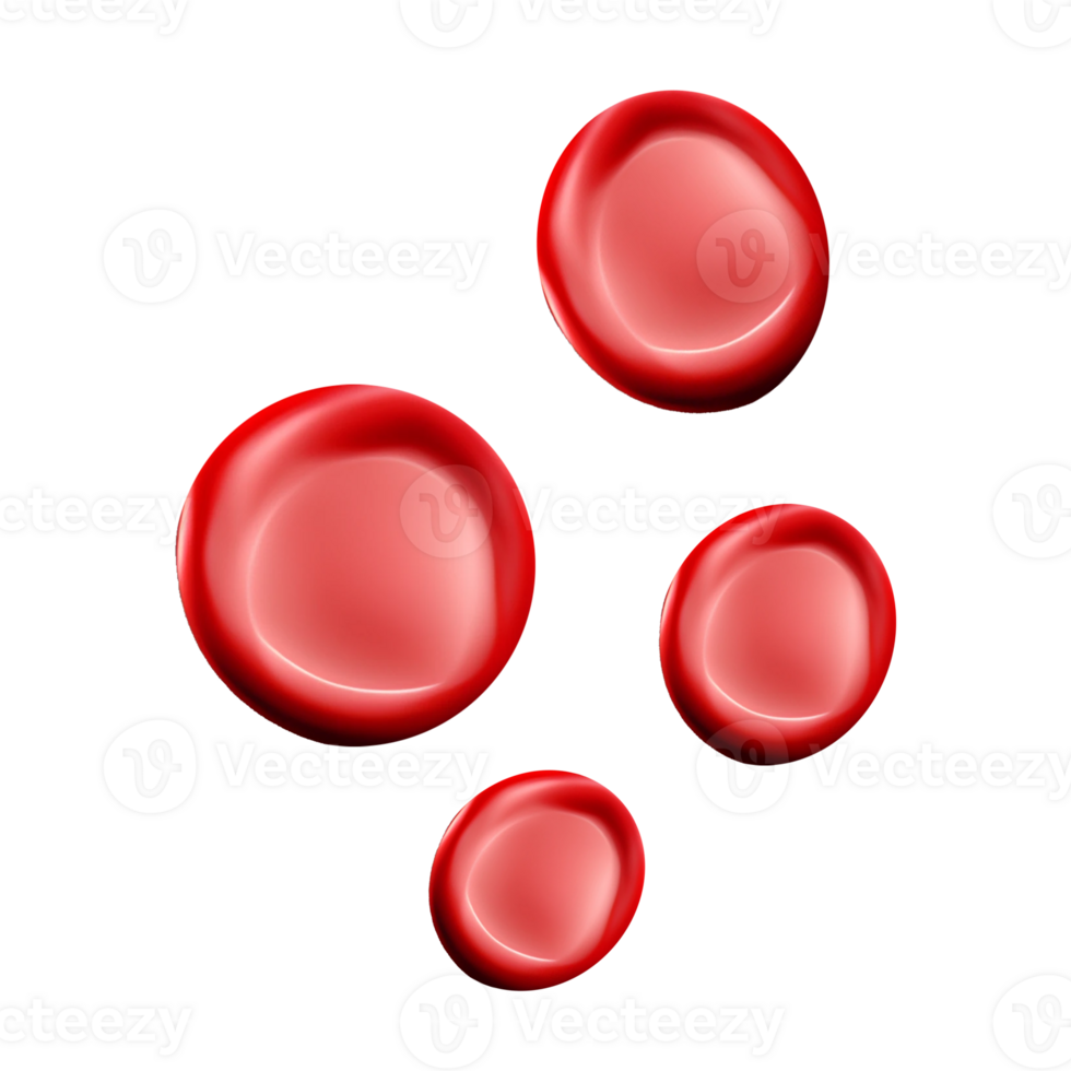 Red blood cell png