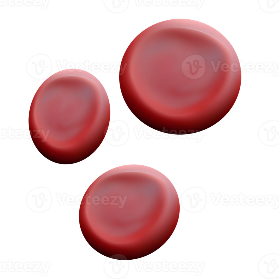 Red blood cell png