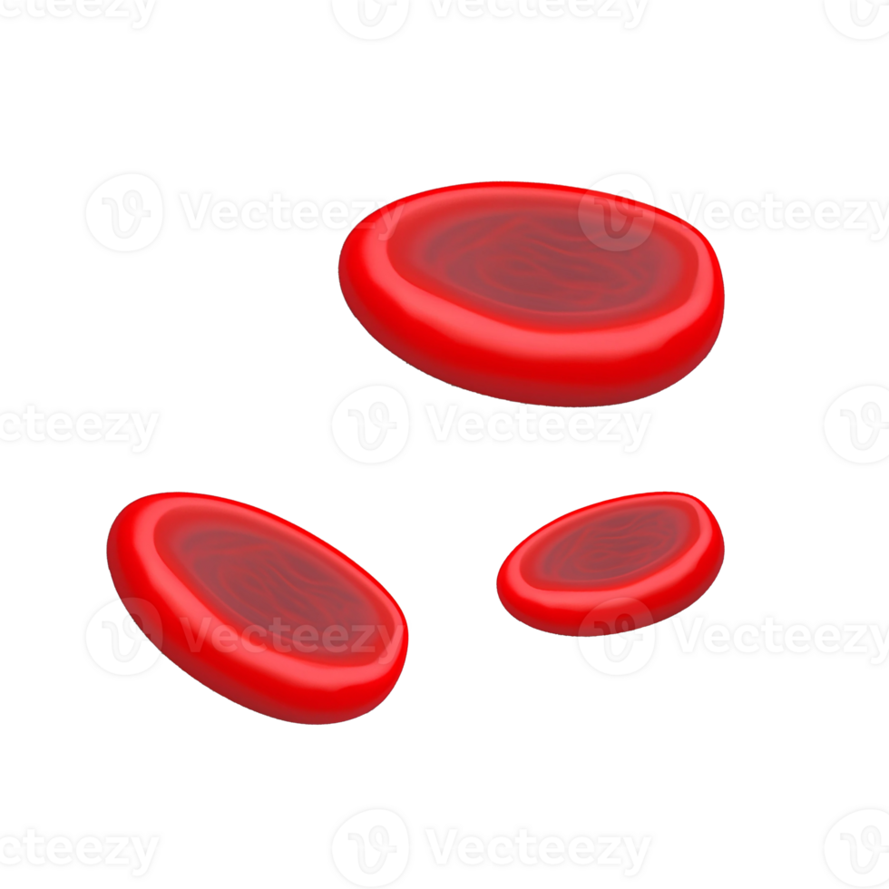 Red blood cell png