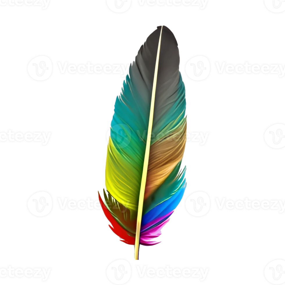 colorful bird feather png