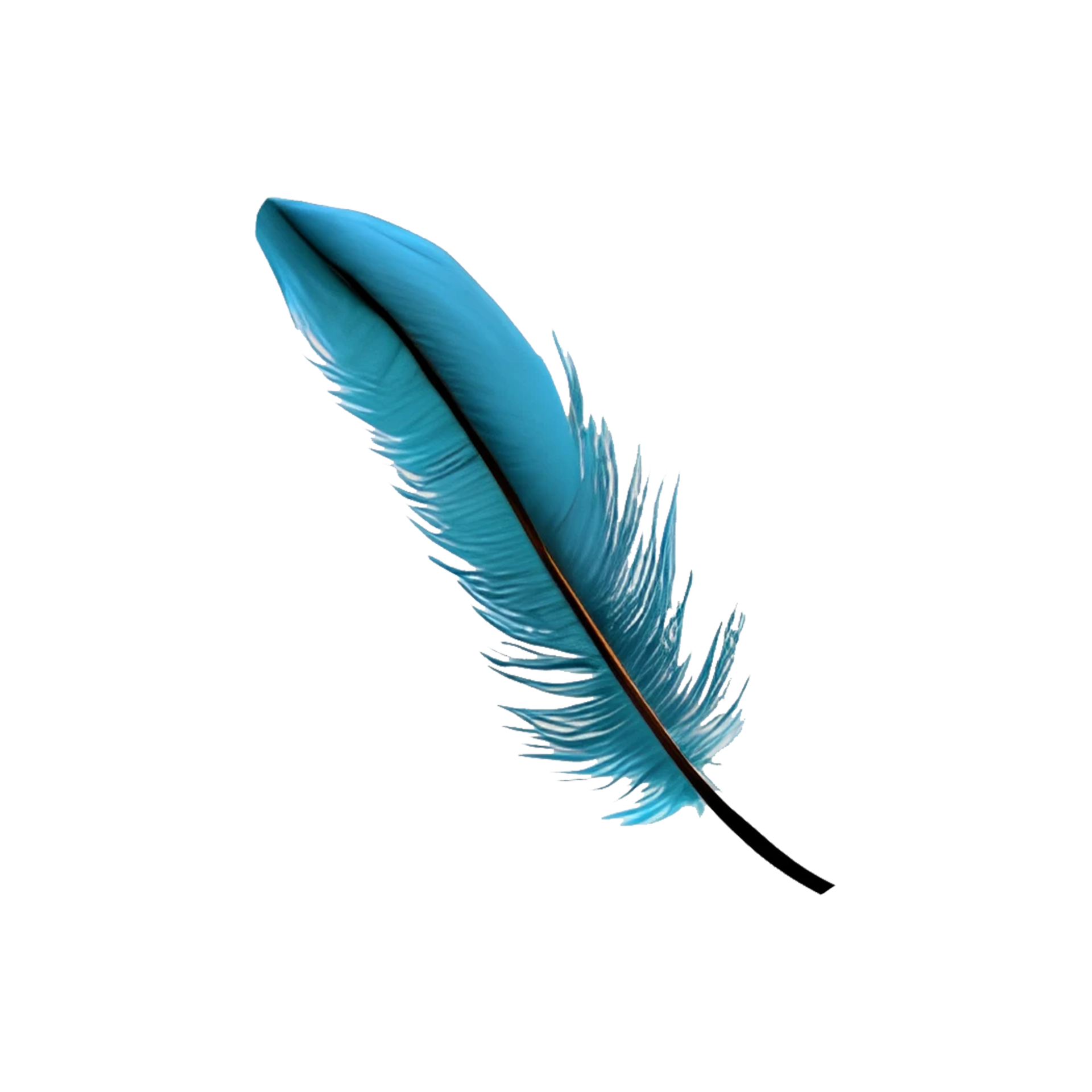 realistic colorful feather 21357766 PNG