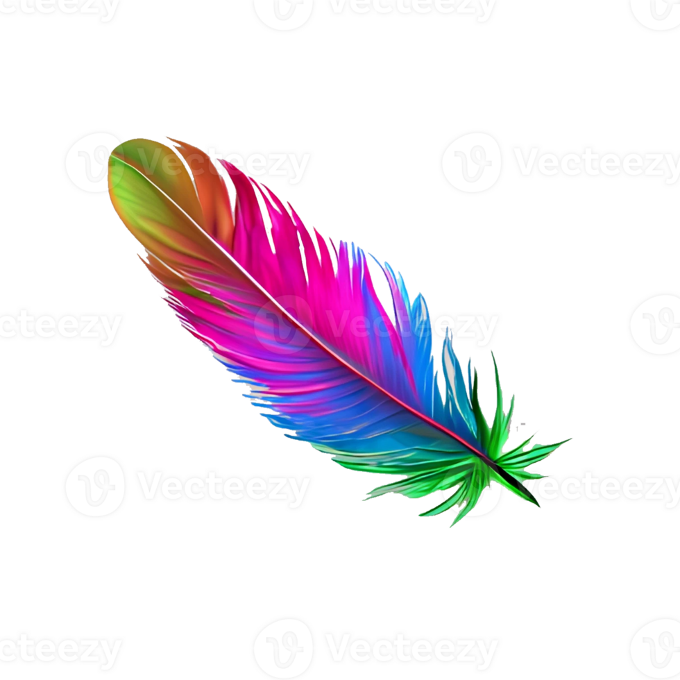 colorful bird feather png