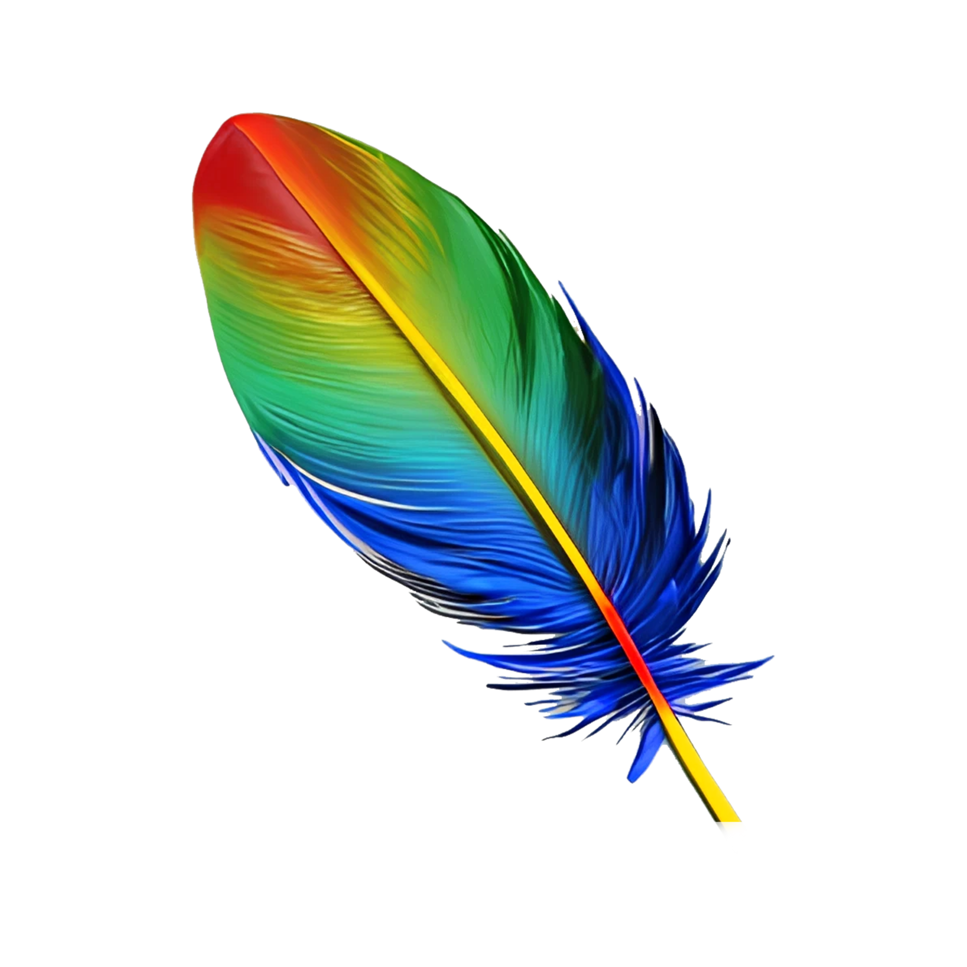 colorful bird feather 21357770 PNG